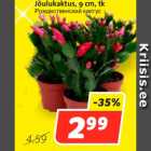 Магазин:Hüper Rimi, Rimi,Скидка:Рождественский кактус