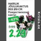 Магазин:Maksimarket, Konsum,Скидка:Рождественский кактус