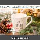 Allahindlus - 1. Kauss TEMPO*, 17 cm, 1 tk