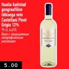 Allahindlus - Itaalia kaitstud
geograafilise
tähisega vein
Castellani Pinot
Grigio 12%
75 cl, 6,67/L