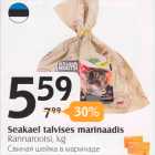 Seakael talvises marinaadis