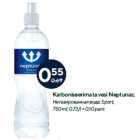 Karboniseerimata vesi Neptunas
