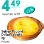 Selveri Pagarid Dallase saiake kg
