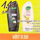 Allahindlus - Radox-dušigeel, 250 ml