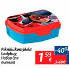 Piknikukomplekt Ladybug