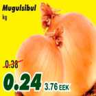 Allahindlus - Mugulsibul