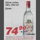 Džinn Liviko