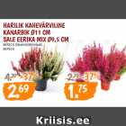 Магазин:Maksimarket, Konsum,Скидка:ВЕРЕСК ОБЫКНОВЕННЫЙ,
ВЕРЕСК