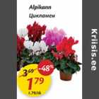 Alpikann