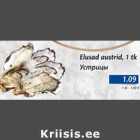 Elusad austrid, 1 tk