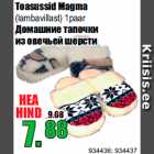 Toasussid Magma