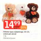 Pehme karu südamega, 50 cm