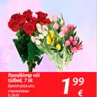 Roosikimp või tülbid, 7 tk