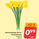 Nartsissikimp 28 cm,
10 tk/kimbus
