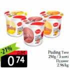 Allahindlus - Puding Tere


