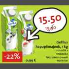 Gefilus hapupiimajook