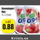 Kannujogurt Oga