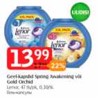 Geel-kapslid Spring Awakening või Gold Orchid