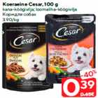 Корм для собак