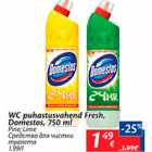 WC puhastusvahend Fresh, Domestos, 750 ml