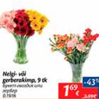 Nelgi- või gerberakimp, 9 tk