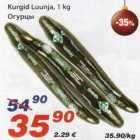 Kurgid Luunja