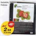 Kattekile