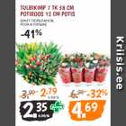TULBIKIMP 7 TK 38 CM
POTIROOS 12 CM POTIS 