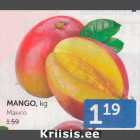 MANGO, KG