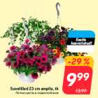 Магазин:Hüper Rimi, Rimi, Mini Rimi,Скидка:Летние цветы в подвесной вазе