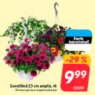 Suvelilled 23 cm amplis, tk