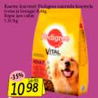 Koerte kuivtoit Pedigree suurtele koertele
