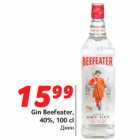 Allahindlus - Gin Beefeater