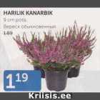 HARILIK KANARBIK