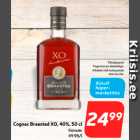 Allahindlus - Cognac Braastad XO, 40%, 50 cl