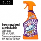 Puhastusvahend
vannitubadele