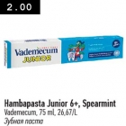 Hambapasta Junior 6+, Spearmint