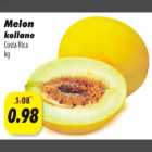 Melon kollane Costa Rica kg