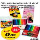 Vilt-või värvipliiatsid,12 värvi