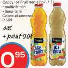 Cappy Ice Fruit mahlajook 