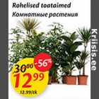 Комнатные растения