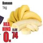 Banaan