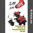 Рождественская звезда
