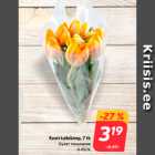 Eesti tulbikimp, 7 tk
