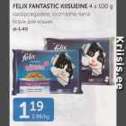 Allahindlus - FELIX FANTASTIC KIISUEINE 4 X 100 G