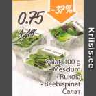 Allahindlus - Salat, 100 g