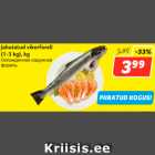 Allahindlus - Jahutatud vikerforell
(1-3 kg), kg