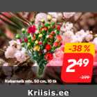 Kobarnelk mix, 50 cm, 10 tk