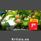 Магазин:Hüper Rimi, Rimi, Mini Rimi,Скидка:Эстонские яблоки 