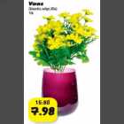 Vaas (klaasist, valge,lilla) 1tk